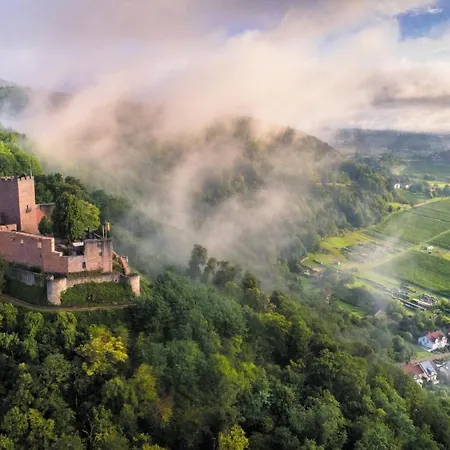 Land.wein.gut Klingenmünster